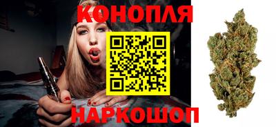 соль ск Будённовск
