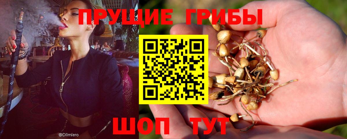 Псилоцибиновые грибы мухоморы Краснознаменск